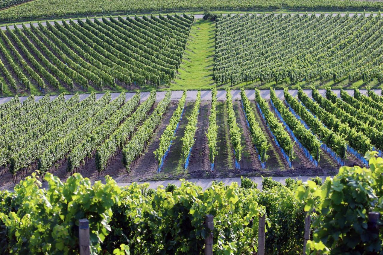 Am Steigerwaldrand Sugenheim